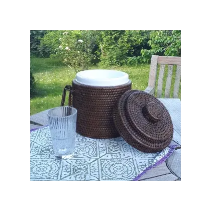 Boîte à glaçons avec pince